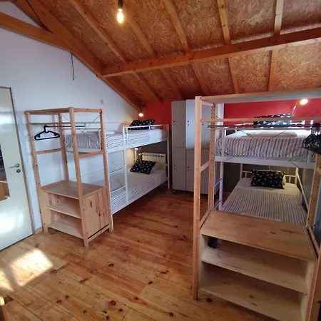 Sardines And Friends 04