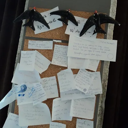 Sardines And Friends 04 Póvoa de Varzim