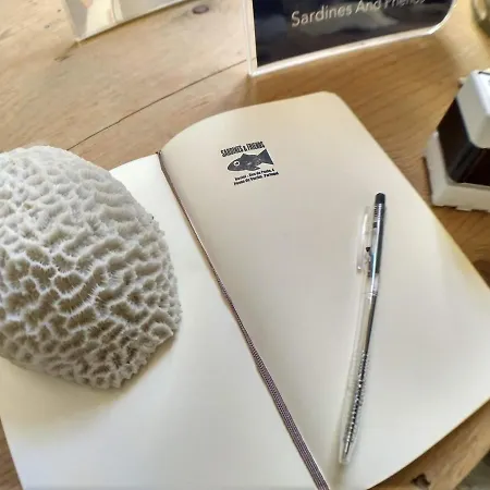 Sardines And Friends 04