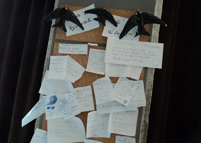 Sardines And Friends 04 Póvoa de Varzim